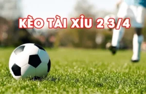 Cách Chơi Kèo Chấp 2 3/4 Dễ Hiểu Nhất Hiện Nay