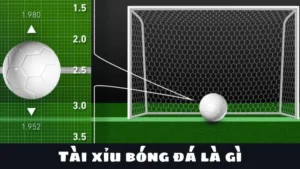 Cách Chơi Kèo Tài Xỉu Bóng Đá Chuẩn Xác Nhất Hiện Nay