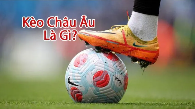 Hướng Dẫn Chi Tiết Cách Chơi Kèo Châu Âu Hiệu Quả Nhất Năm Nay