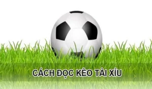 Bí Kíp Chơi Kèo Tài Xỉu Hiệp 1 Hiệu Quả Nhất Cho Người Mới
