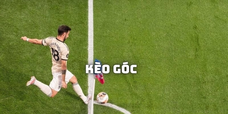 Cách Chơi Kèo Phạt Góc Bóng Đá Cho Người Mới Bắt Đầu