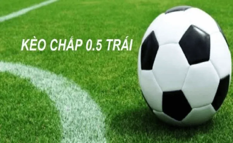 Cách Chơi Kèo Chấp 0.5 Chuẩn Xác Dành Cho Dân Chuyên Nghiệp