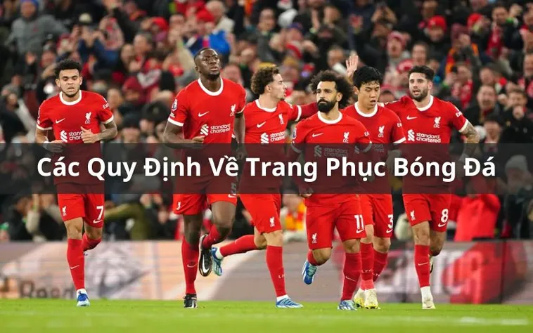 Quy Định Về Trang Phục Bóng Đá Chi Tiết Và Đầy Đủ Nhất