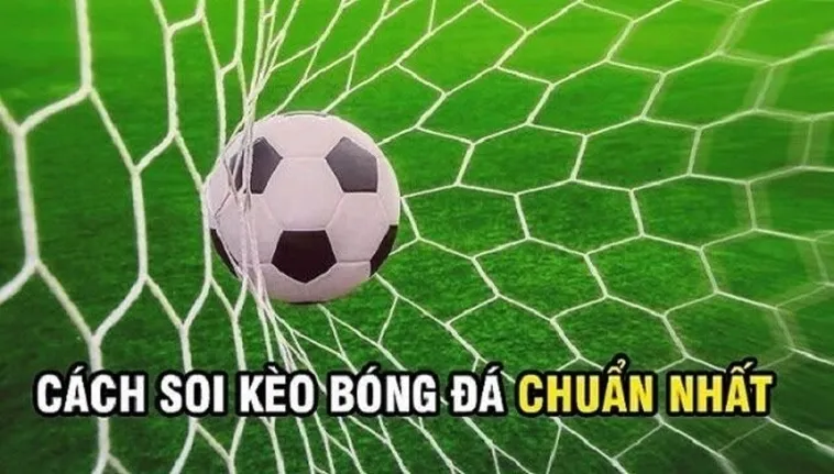 Cách Chơi Kèo Rung Trong Bóng Đá Hiệu Quả Nhất Cho Người Mới